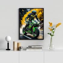 Quadro Decorativo Moto Esportiva- Motociclista 45x34cm