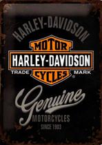 Quadro Decorativo Moto Harley Davidson Modelo 111 30x20 Mdf Madeira Adesivada
