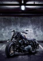 Quadro Decorativo Moto Modelo 104 30x20 Mdf Madeira Adesivada Quadro Decorativo Moto Modelo 104 30x20 Mdf Madeira Adesivada