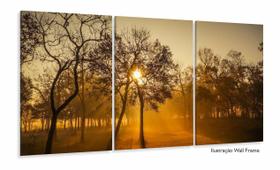 Quadro Decorativo Nascer Do Sol Na Floresta 120x60 3 peças Sala