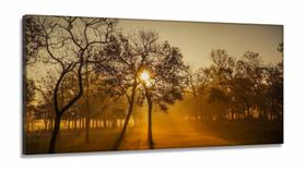 Quadro Decorativo Nascer Do Sol Na Floresta em Tecido Canvas 130x60 Sala