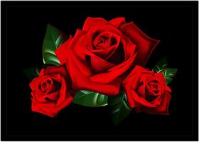 Quadro Decorativo Natureza Flor Rosas Vermelhas Paisagem Fundo Preto Com Moldura RC166 - Vital Printer