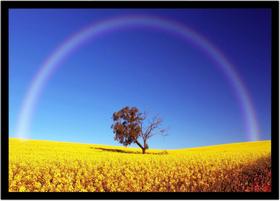 Quadro Decorativo Natureza Paisagem Arco-Íris Cores Campo Salas Quartos Escritório Com Moldura R097