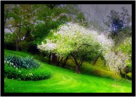Quadro Decorativo Natureza Paisagem Árvore Bosque Salas Quartos Escritório Com Moldura R057