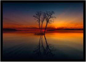 Quadro Decorativo Natureza Paisagem Árvore Reflexão Salas Quartos Escritório Com Moldura R094