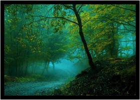 Quadro Decorativo Natureza Paisagem Bosque Tropical Salas Quartos Escritório Com Moldura RC117