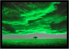 Quadro Decorativo Natureza Paisagem Campo Árvore Salas Quartos Escritório Com Moldura RC193