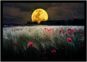 Quadro Decorativo Natureza Paisagem Lua Campo Salas Quartos Escritório Com Moldura R054 Quadro Decorativo Natureza Paisagem Lua Campo Salas Quartos Escritório Com Moldura R054