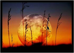 Quadro Decorativo Natureza Paisagem Lua Cheia Salas Quartos Escritório Com Moldura R016