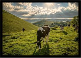 Quadro Decorativo Natureza Paisagem Montanha Pastagens Salas Quartos Escritório Com Moldura RC122 Quadro Decorativo Natureza Paisagem Montanha Pastagens Salas Quartos Escritório Com Moldura RC122