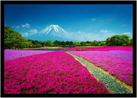 Quadro Decorativo Natureza Paisagem Monte Fuji Salas Quartos Escritório Com Moldura R066