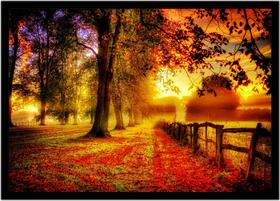 Quadro Decorativo Natureza Paisagem Outono Bosque Salas Quartos Escritório Com Moldura RC109