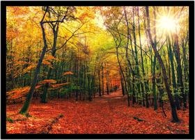 Quadro Decorativo Natureza Paisagem Outono Bosque Salas Quartos Escritório Com Moldura RC142