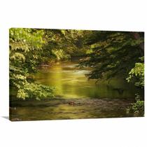 Quadro decorativo Natureza Paisagem Verde - Tela em Tecido