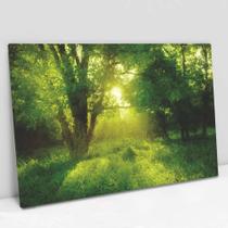 Quadro Decorativo Natureza Viva em tela Canvas