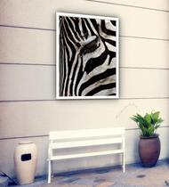 Quadro Decorativo Olho Zebra Fechado - 70X50Cm