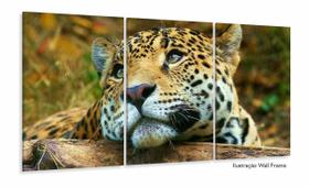Quadro Decorativo Onça Pintada 3 Peças 120x60 em tecido Quadro Decorativo Onça Pintada 3 Peças 120x60 em tecido