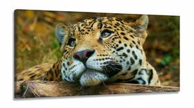 Quadro Decorativo Onça Pintada em Tecido Canvas 130x60 Quadro Decorativo Onça Pintada em Tecido Canvas 130x60