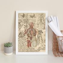 Quadro Decorativo Órgãos Corpo Humano Vintage 33X24Cm Vidro