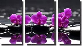 Quadro Decorativo Orquídea Roxa 3 Peças Para Sala