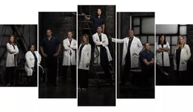 Quadro Decorativo Painel Grey's Anatomy Série Atores"