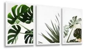 Quadro Decorativo Painel Mosaico Folhas Verdes Costela De Adão Plantas"