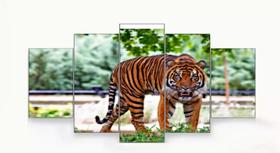 Quadro Decorativo Painel Tigre Na Natureza "