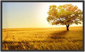 Quadro Decorativo Paisagem Árvore Salas Com Moldura 1 metro x 60 cm TT10