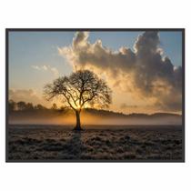 Quadro Decorativo Paisagem Árvore Sol 90x60 para Sala Quarto Quadro Decorativo Paisagem Árvore Sol 90x60 para Sala Quarto