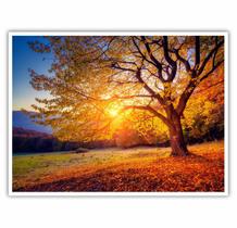 Quadro Decorativo Paisagem Árvore Sol 90x60 para Sala Quarto Quadro Decorativo Paisagem Árvore Sol 90x60 para Sala Quarto