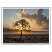 Quadro Decorativo Paisagem Árvore Sol 90x60 para Sala Quarto Quadro Decorativo Paisagem Árvore Sol 90x60 para Sala Quarto