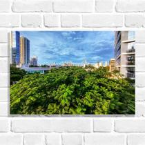 Quadro Decorativo Paisagem Cidade (Coleção Originais do Brasil)