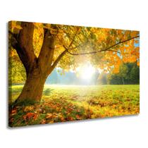 Quadro Decorativo Paisagem Natureza Árvore Outono e Luz do Sol Decoração Quarto Sala Jantar 60x90cm Tela Tecido