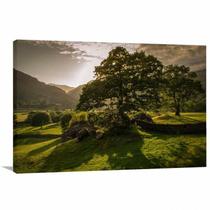 Quadro decorativo Paisagem - Natureza - Verde - Tela em Tecido Quadro decorativo Paisagem - Natureza - Verde - Tela em Tecido