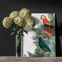 Quadro decorativo papagaio