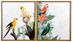 Quadro Decorativo Par - Aves Exóticas