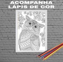 Quadro Decorativo Para Colorir Coruja 24x18cm