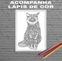 Quadro Decorativo Para Colorir Gato 33x24cm