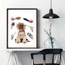 Quadro Decorativo Para Pet Shop - 60X48Cm