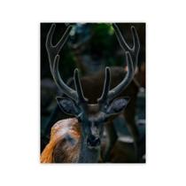 Quadro Decorativo Para Quartos Salas Variados Paisagens 06