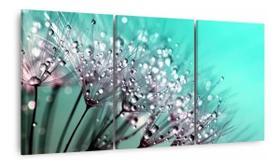 Quadro Decorativo Para Sala Flor Dente De Leão Jogo 3 Peças