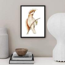 Quadro Decorativo Passarinho Cacatua 33X24Cm - Com Vidro Quadro Decorativo Passarinho Cacatua 33X24Cm - Com Vidro