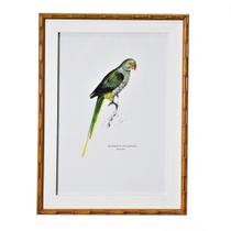 Quadro Decorativo Pássaro Cinza com Moldura de Bambu 42x56cm