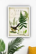 Quadro Decorativo Pássaro Samambaias Vintage - 70X50Cm Quadro Decorativo Pássaro Samambaias Vintage - 70X50Cm