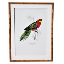 Quadro Decorativo Pássaro Vermelho Moldura de Bambu 42x56cm