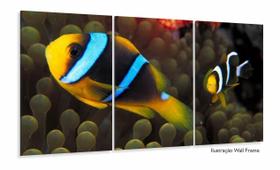 Quadro Decorativo Peixe Palhaço 120x60 Quadro Decorativo Peixe Palhaço 120x60