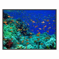 Quadro Decorativo Peixes Coral 90x60 para Sala Quarto Hall