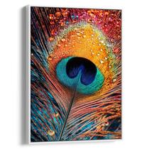 Quadro decorativo Pena de Pavão Com Gotas de Orvalho - Art Canvas