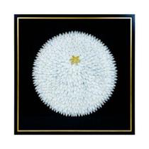 Quadro Decorativo Penas Branca em Circulo Moldura Preta Quadro Decorativo Penas Branca em Circulo Moldura Preta