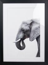 Quadro Decorativo Perfil Elefante Preto E Branco 60x45 Cm Quadro Decorativo Perfil Elefante Preto E Branco 60x45 Cm
